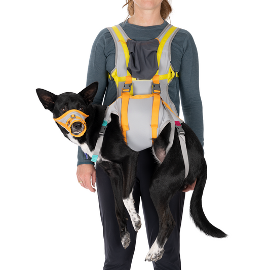 BackTrak™ Dog Evacuation Kit