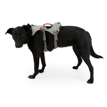 Ruffwear Doubleback™ Harness