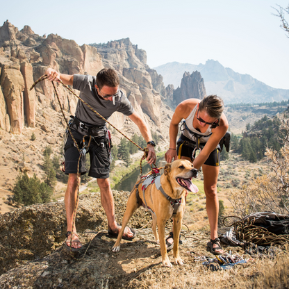 Ruffwear Doubleback™ Harness