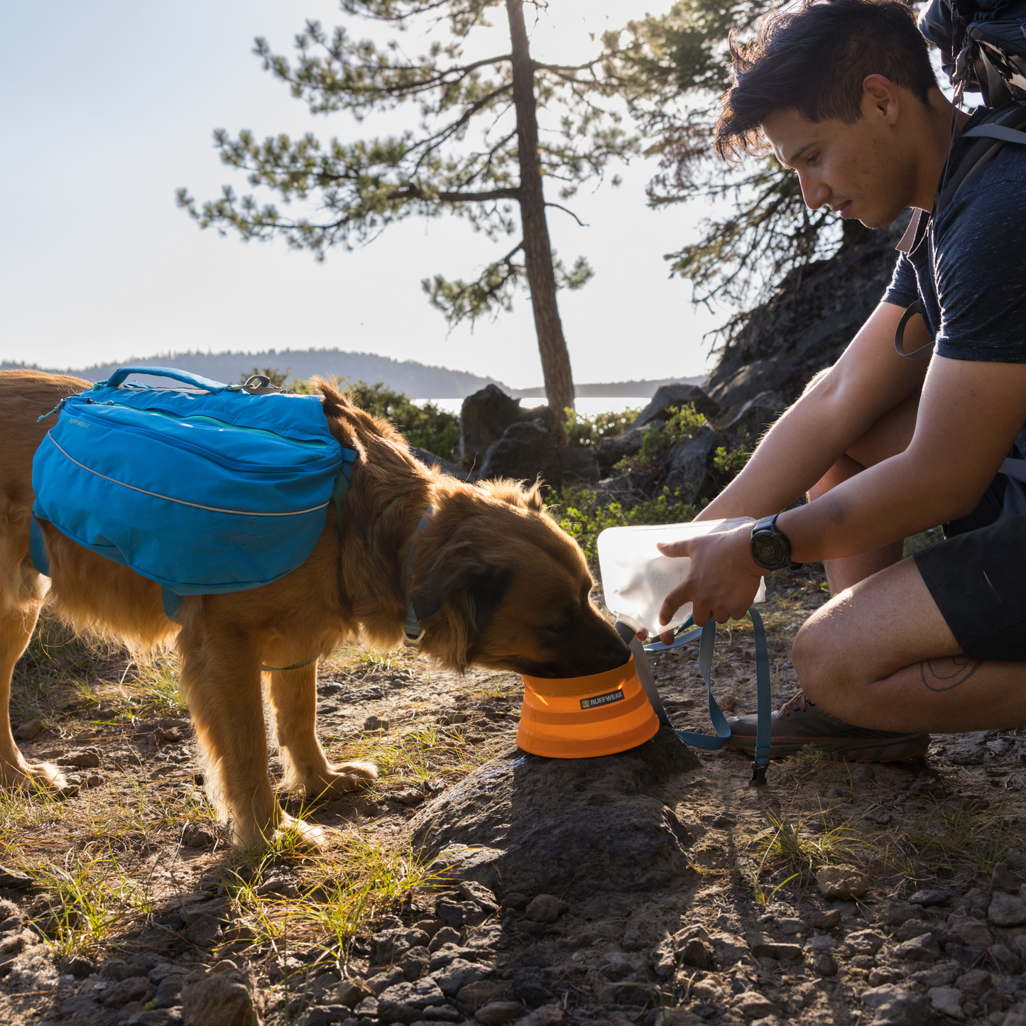 Bivy™ Collapsible Dog Bowl