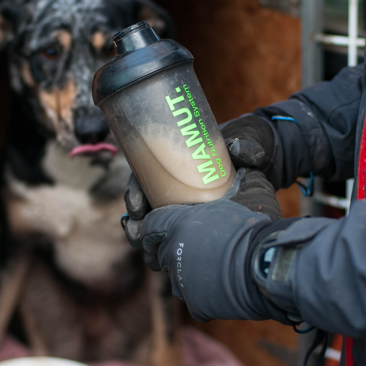 MAMUT Pre-Run Drink – 40 g Pouch