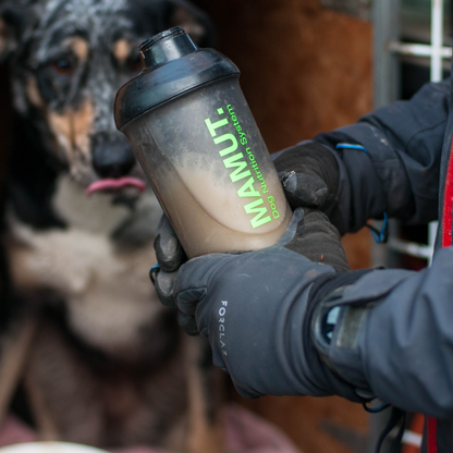 MAMUT Pre-Run Drink – 40 g Pouch