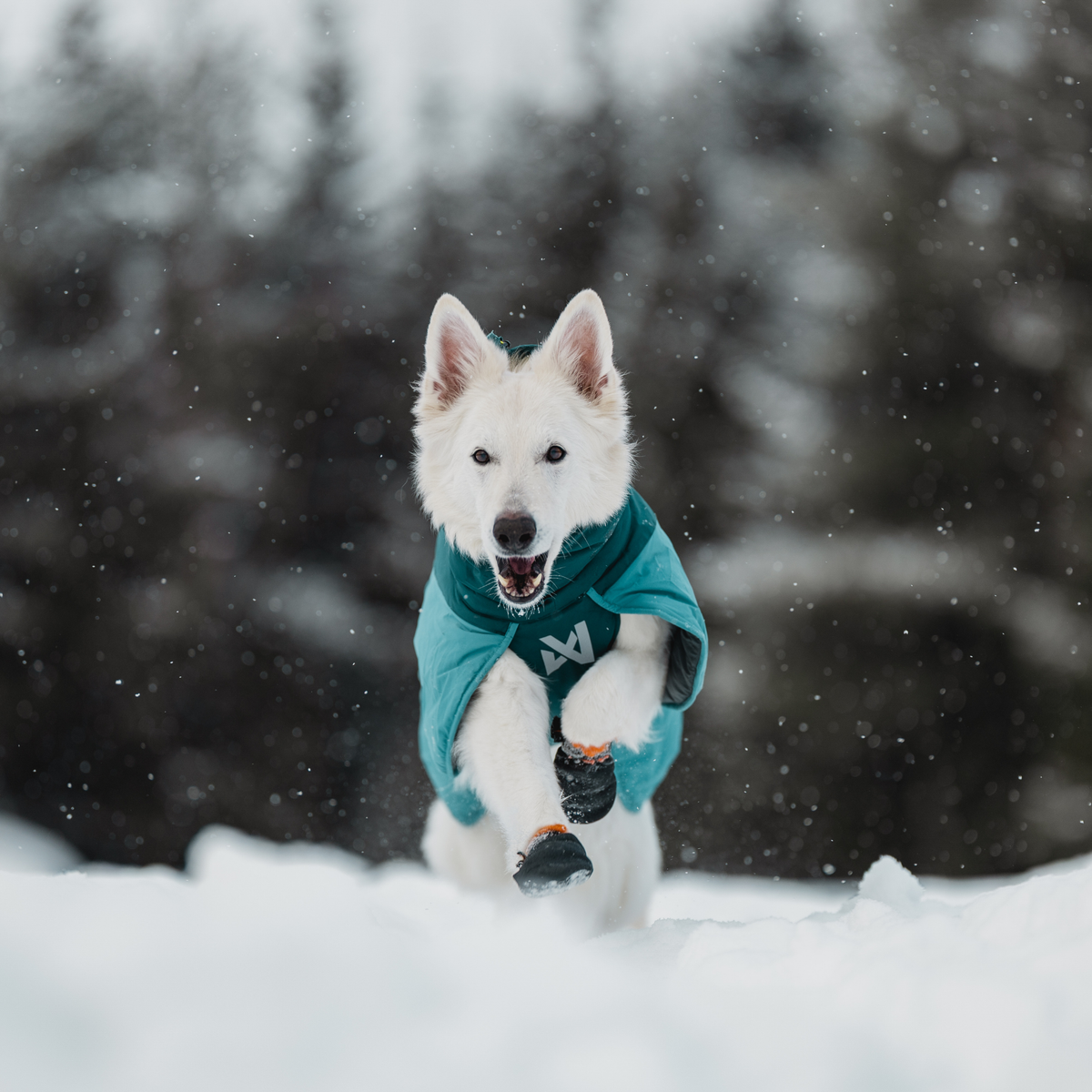 Glacier jacket 3.0