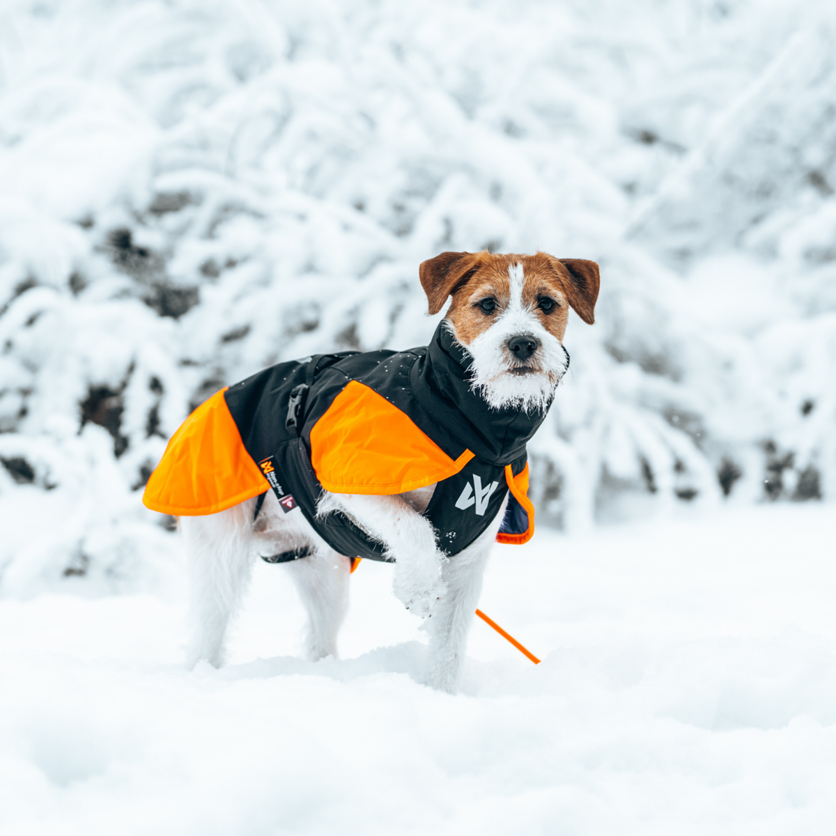 Glacier jacket 3.0