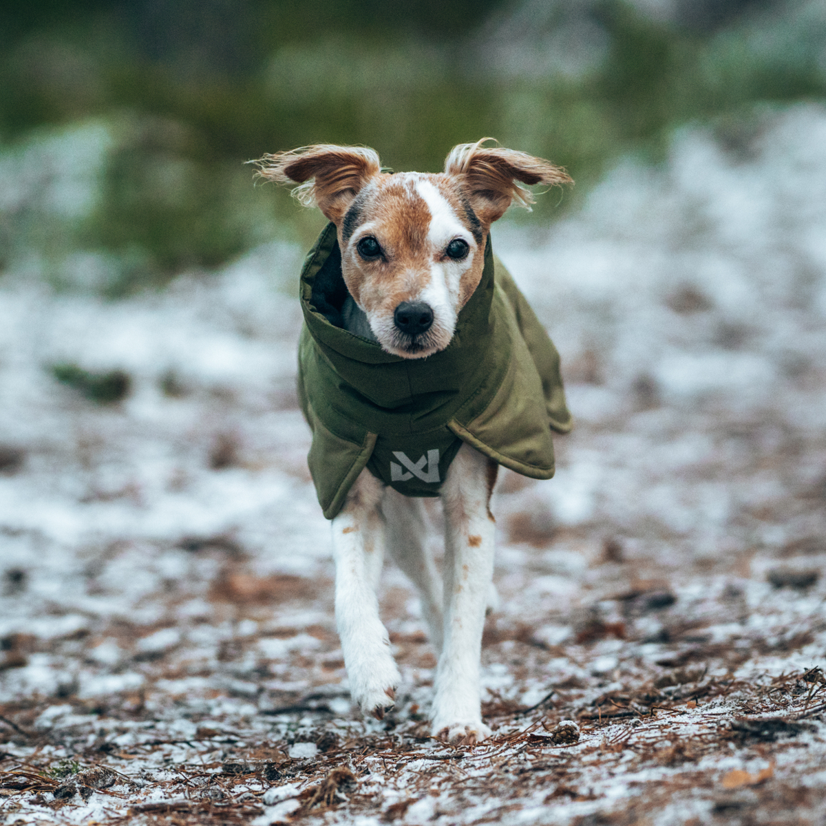 Glacier wool jacket 3.0