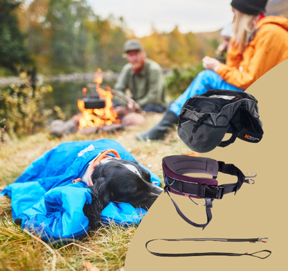 Wanderset Pro