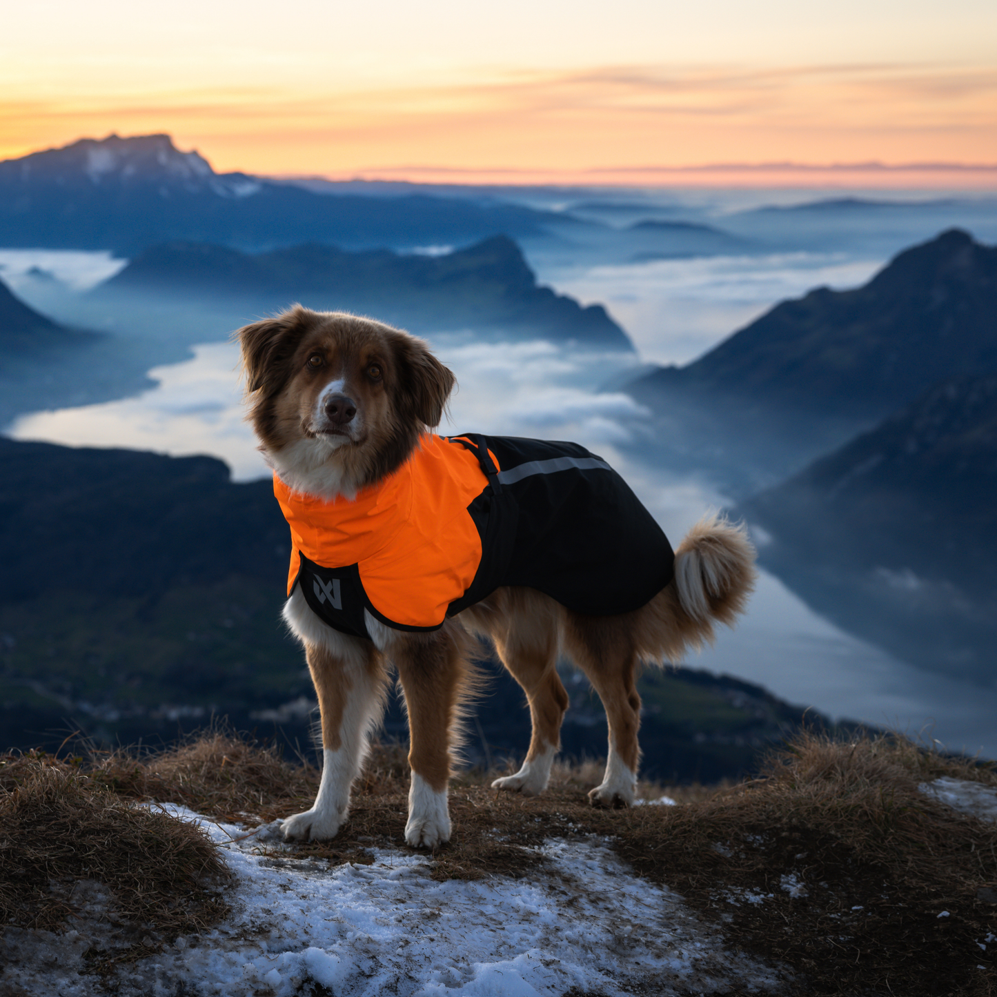 Fjord raincoat 2.0