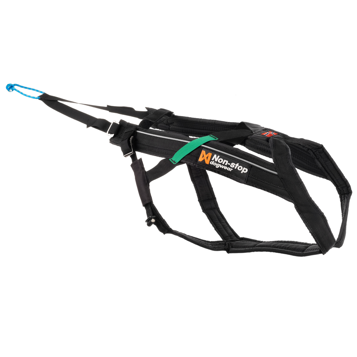 Bikejöring Starter Set