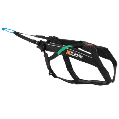 Bikejöring Starter Set