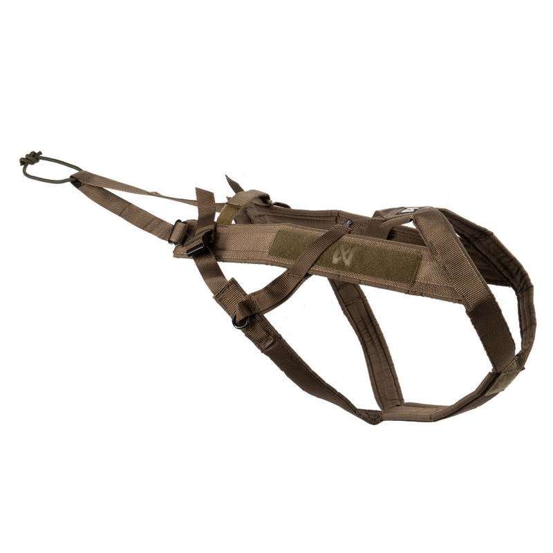 Freemotion harness WD