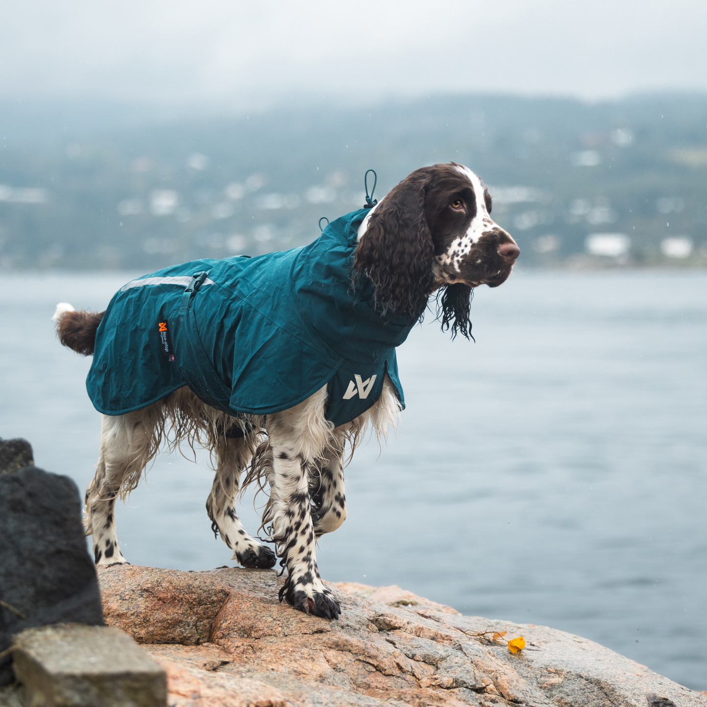 Fjord lined raincoat