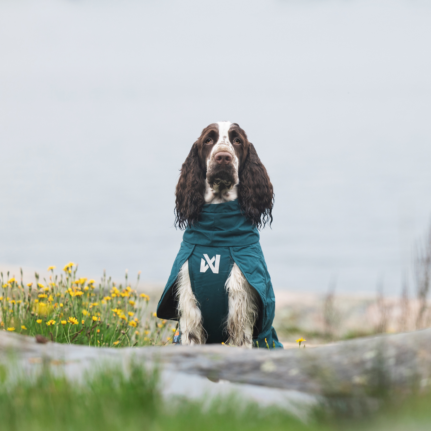 Fjord lined raincoat
