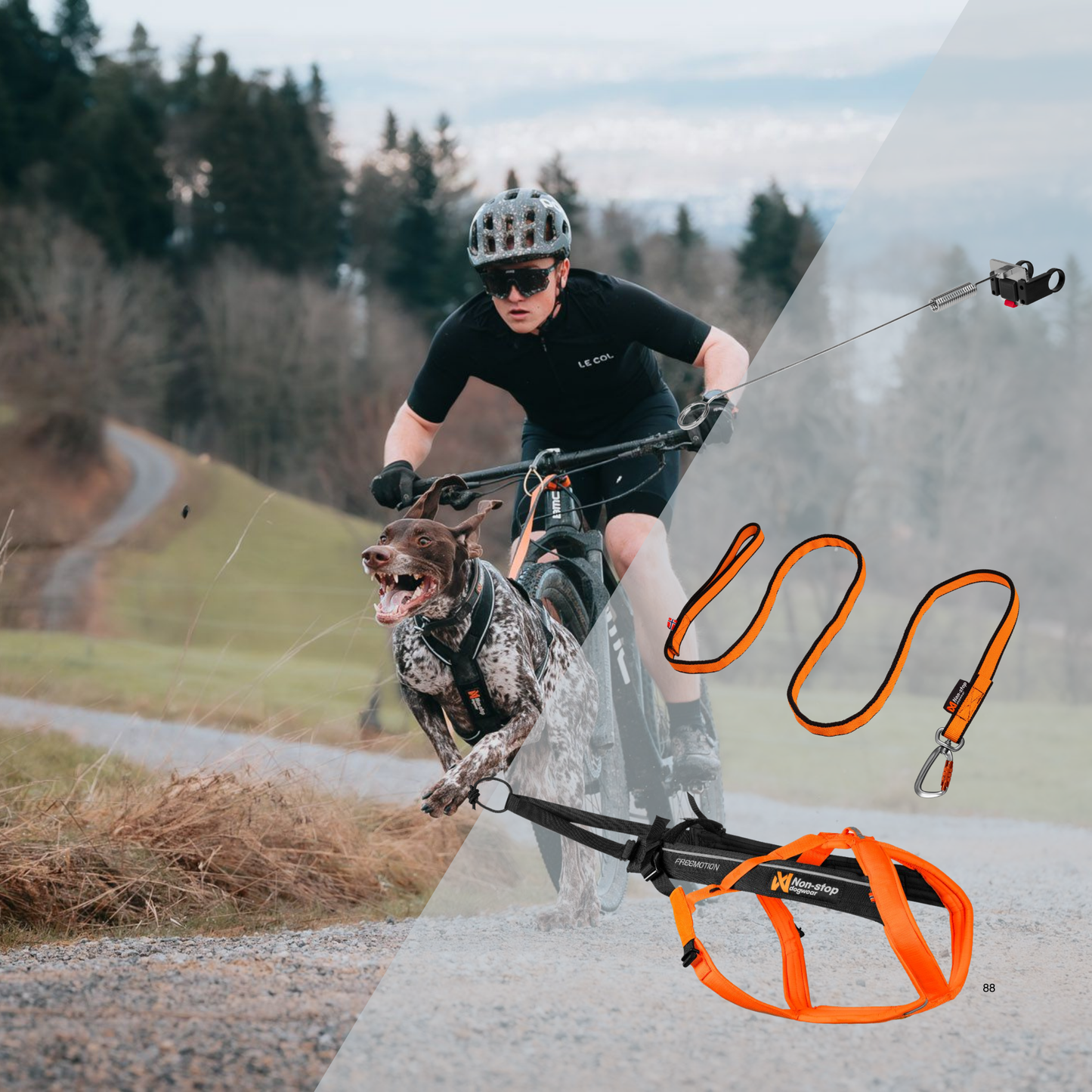 Bikejöring Set Pro