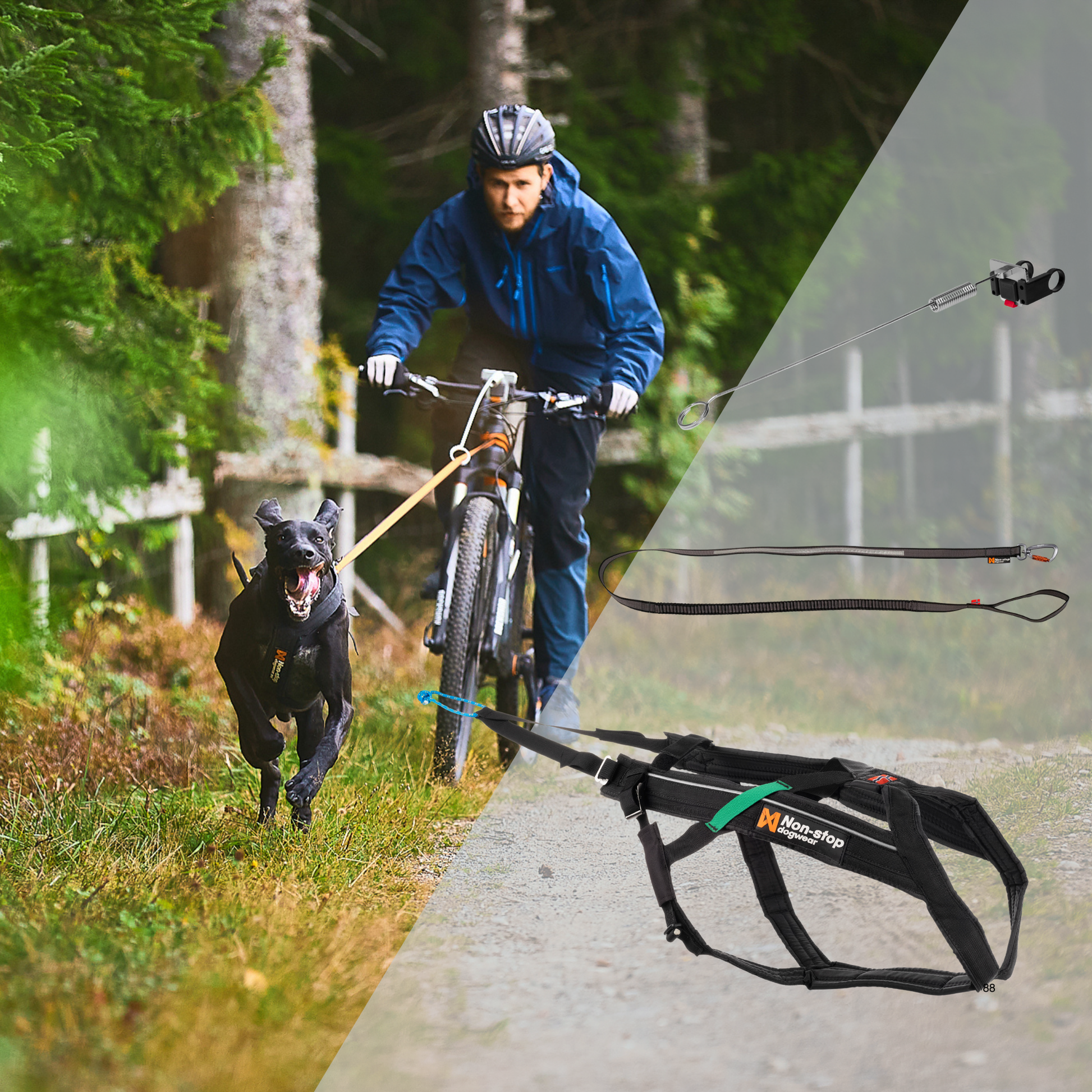 Bikejöring Starter Set – Beito by Sentier web GmbH