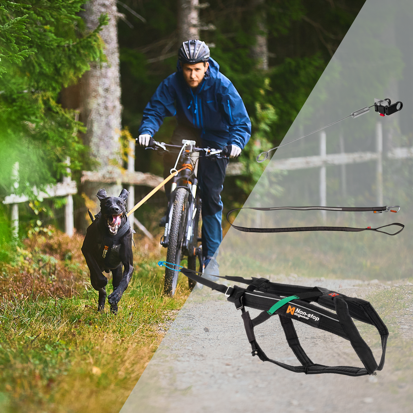 Bikejöring Starter Set