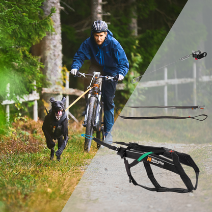 Bikejöring Starter Set