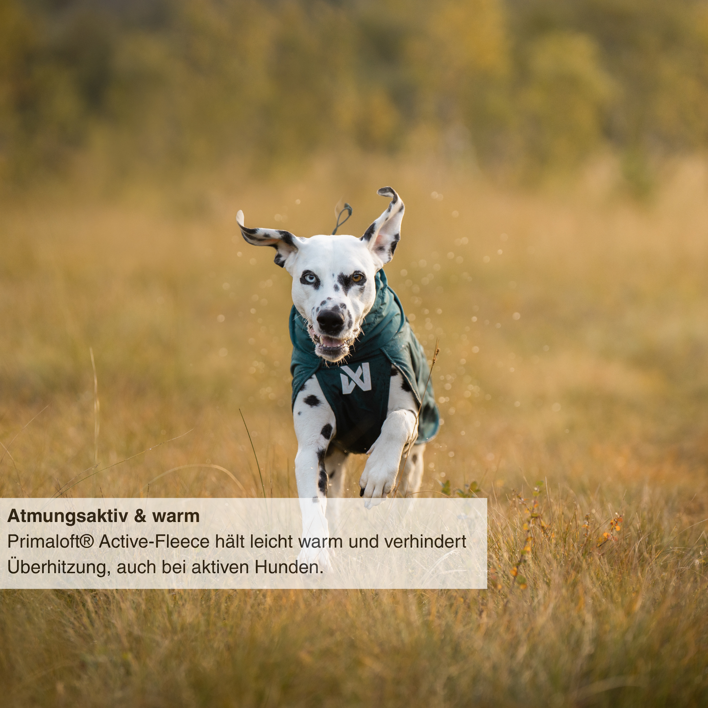 Fjord lined raincoat