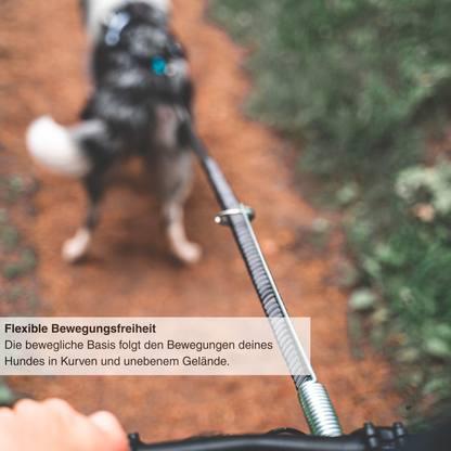 Bike antenna