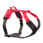 Ramble harness