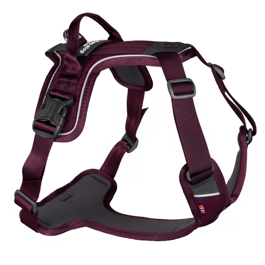Ramble harness