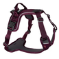 Ramble harness