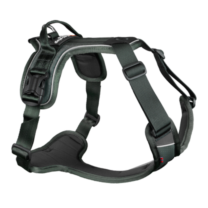 Ramble harness