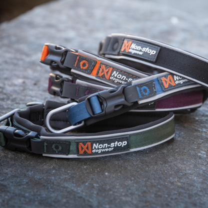 Roam collar