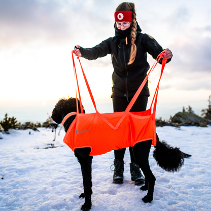 Dog rescue sling