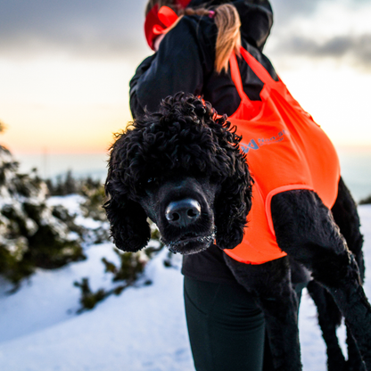 Dog rescue sling
