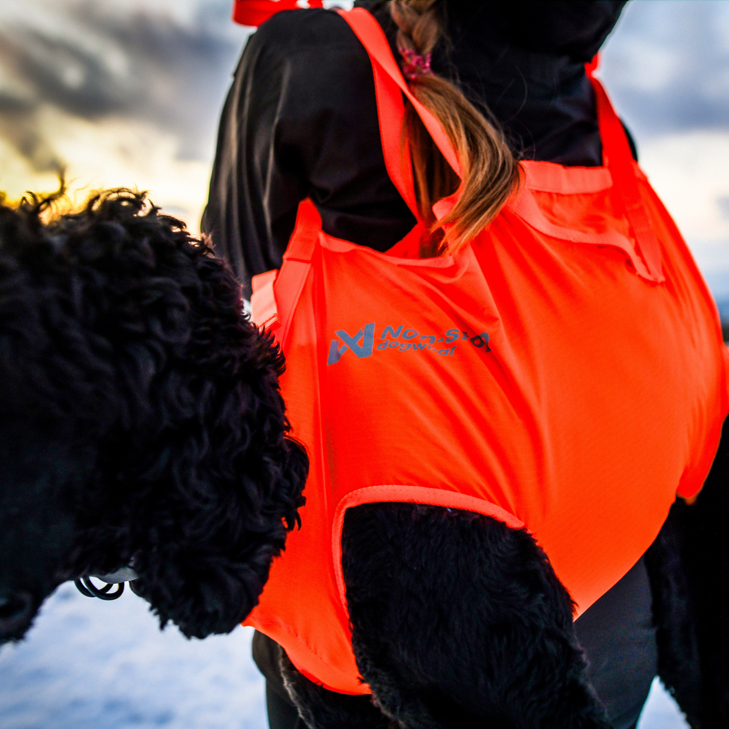 Dog rescue sling