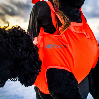 Dog rescue sling