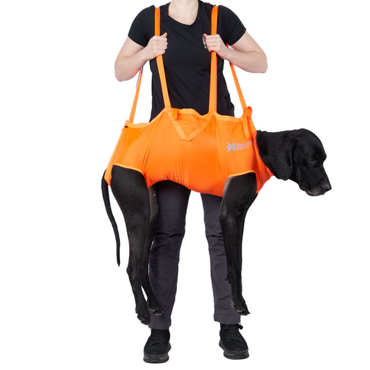 Dog rescue sling