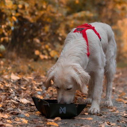 Trekking bowl