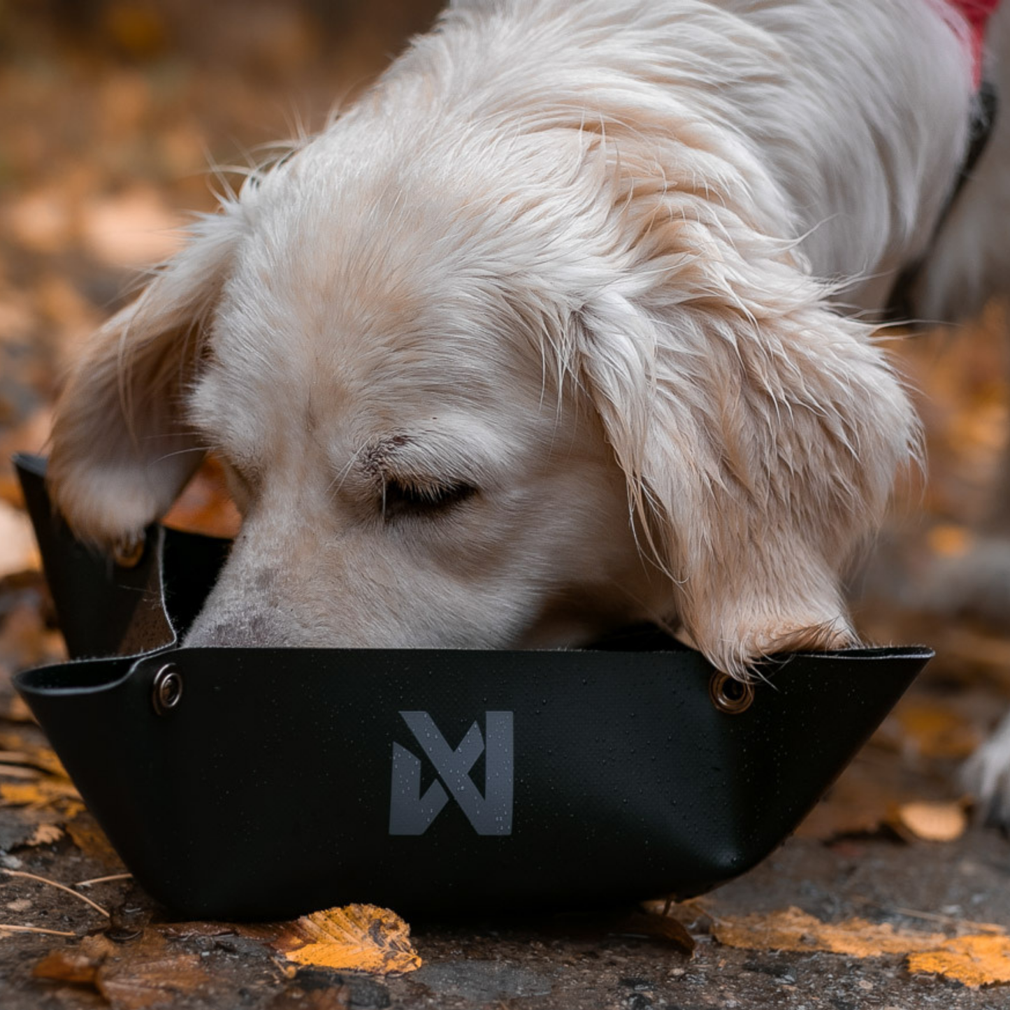 Trekking bowl
