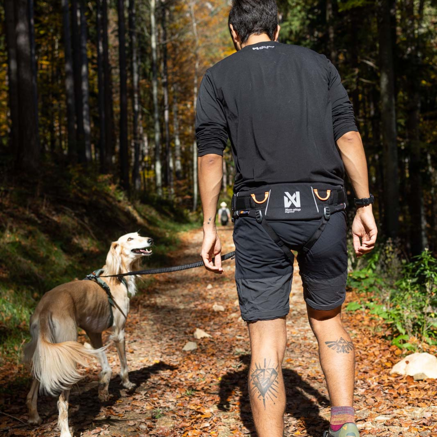Trekking belt 2.0
