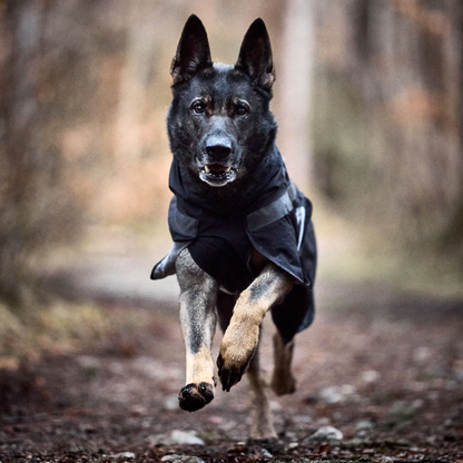Trekking raincoat