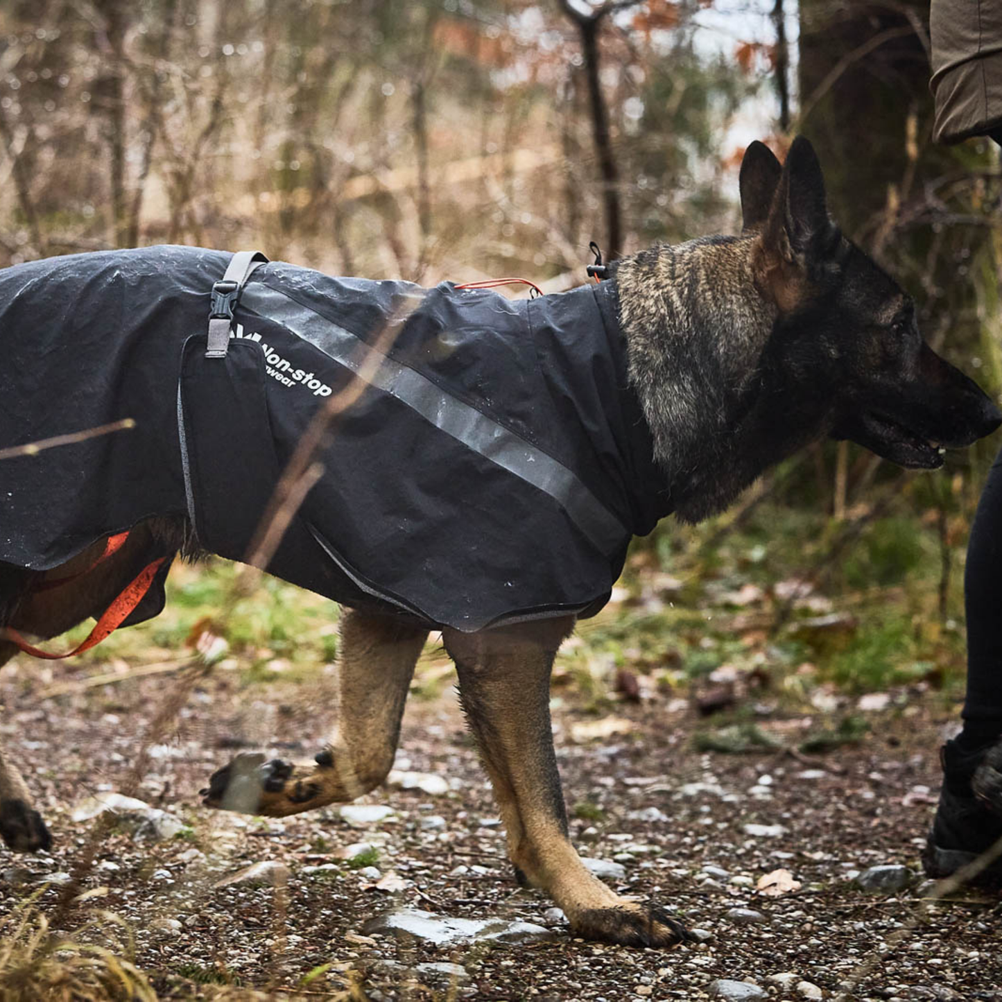 Trekking raincoat
