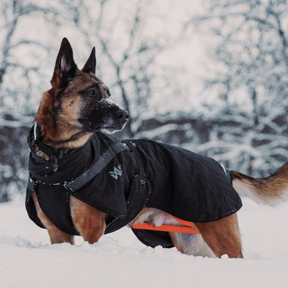 Trekking raincoat