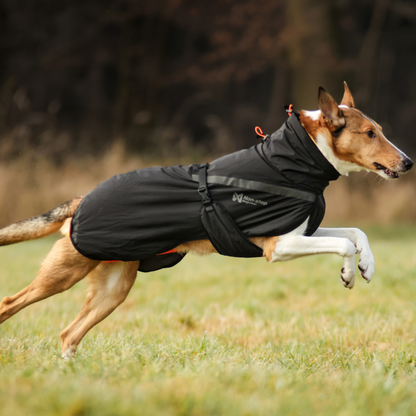 Trekking insulated dog jacket