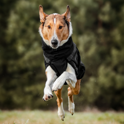 Trekking insulated dog jacket