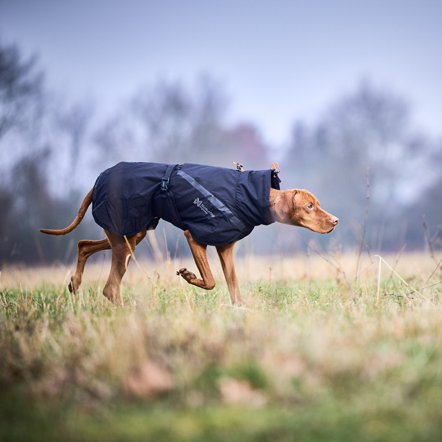 Trekking insulated dog jacket