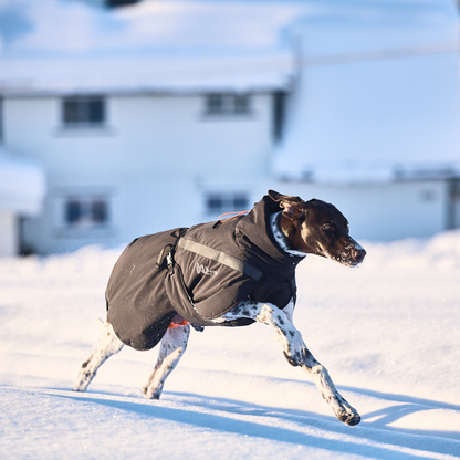Trekking insulated dog jacket