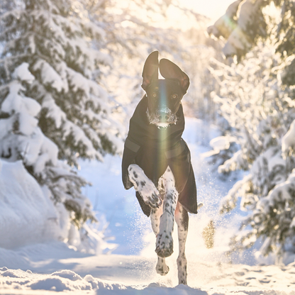 Trekking insulated dog jacket