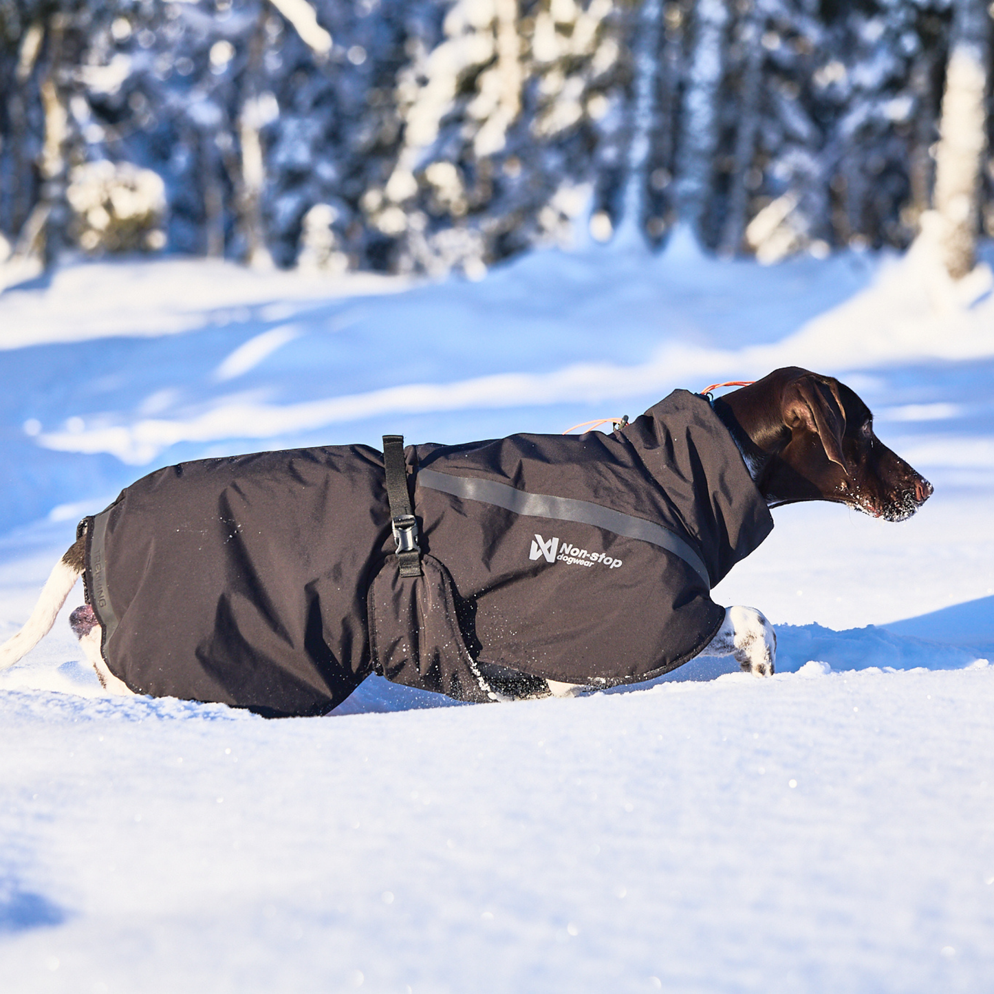 Trekking insulated dog jacket