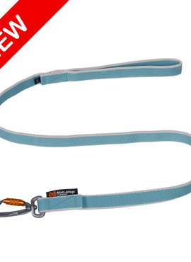 Bungee leash