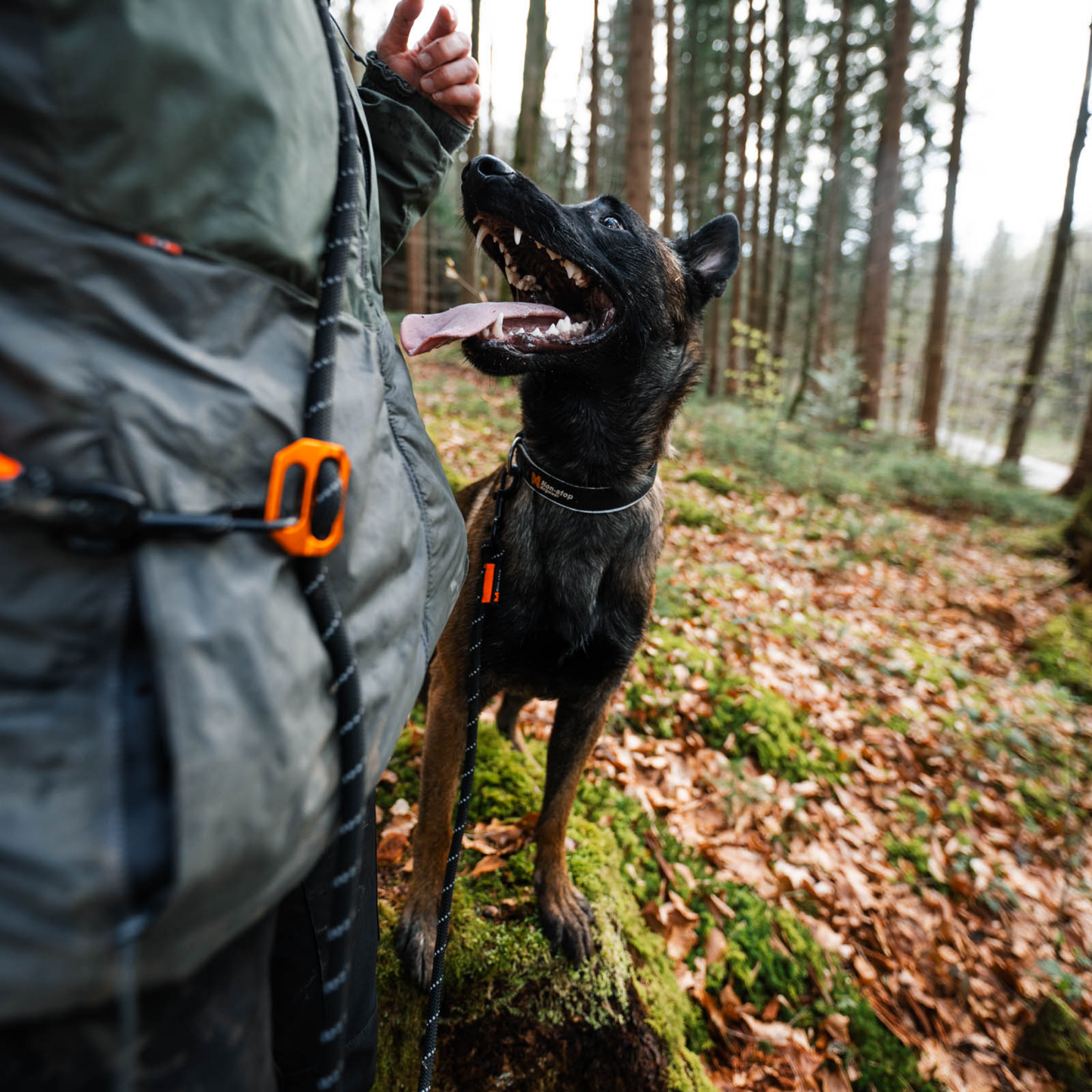 Rock leash adjustable