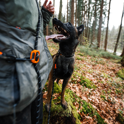 Rock leash adjustable