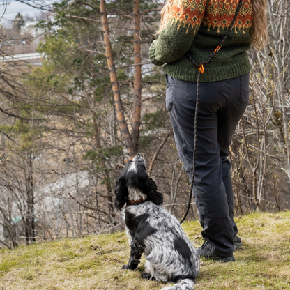 Rock leash adjustable