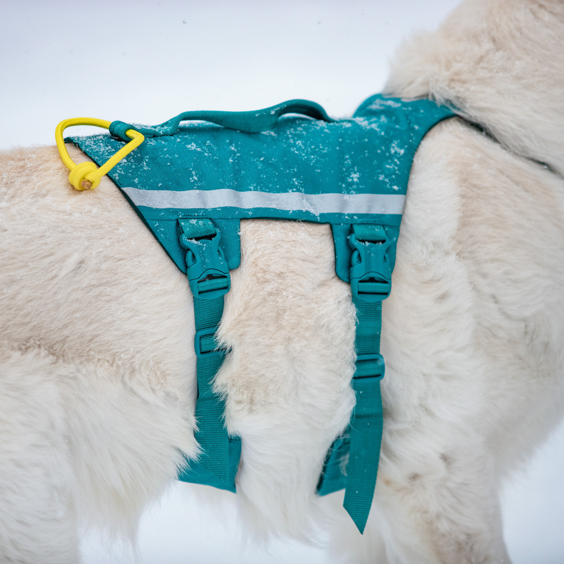 Detail verstellbare Gurte Non-stop Dogwear Ramble Harness Long
