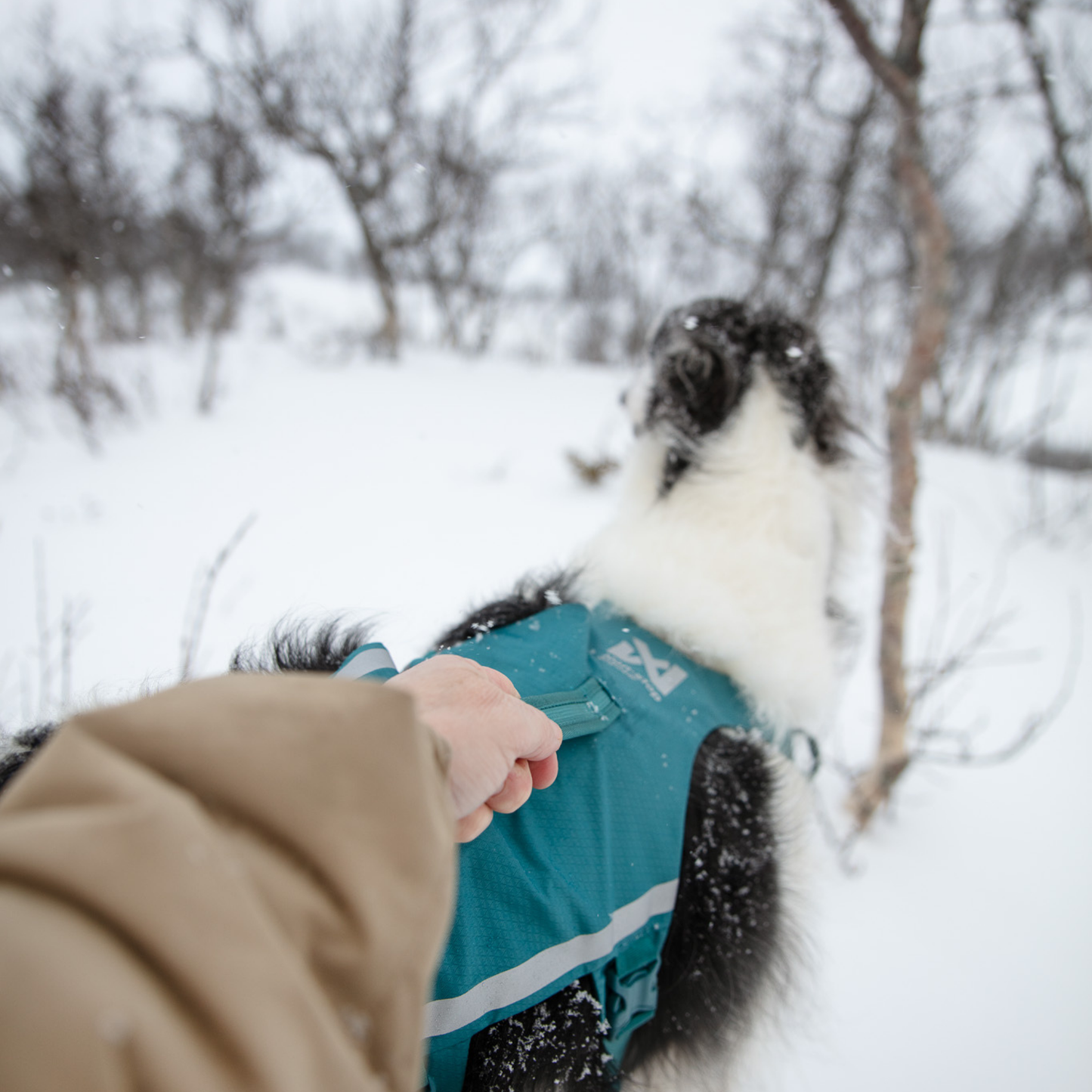 Non-stop Dogwear Ramble Harness Long Rückansicht mit Griff